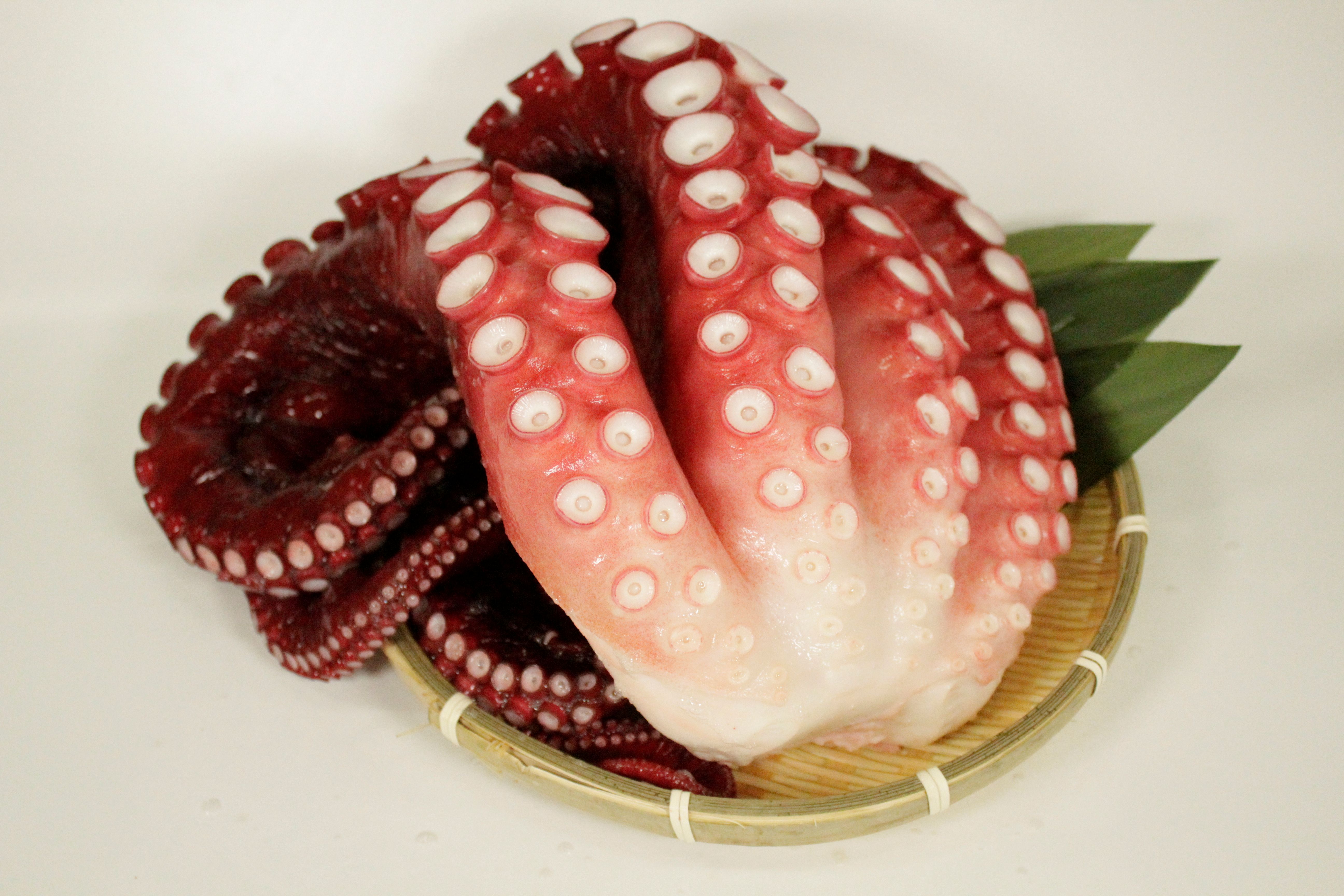 北海蒸し蛸（オホーツク海原料使用）
