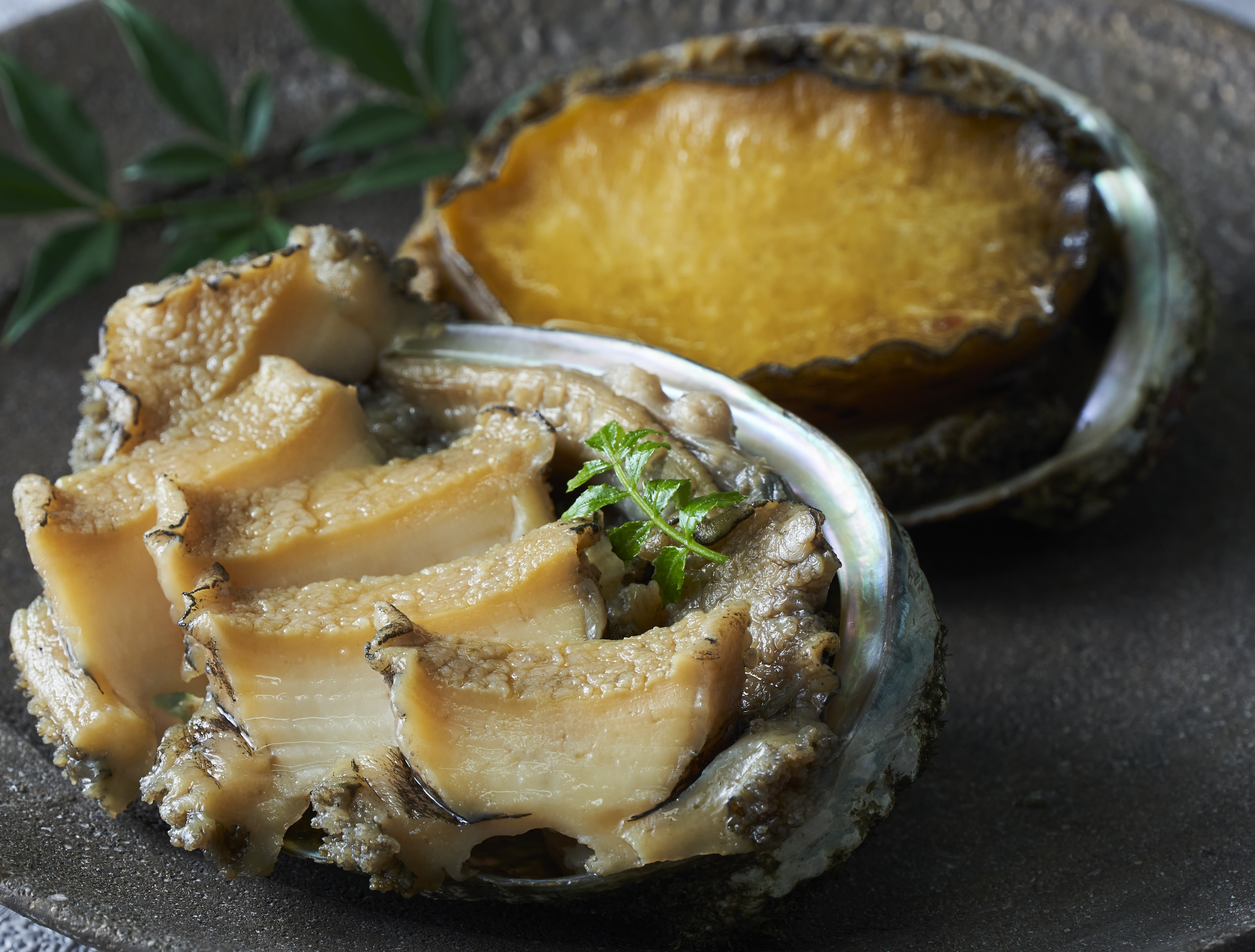 冷凍　味付け煮あわび
