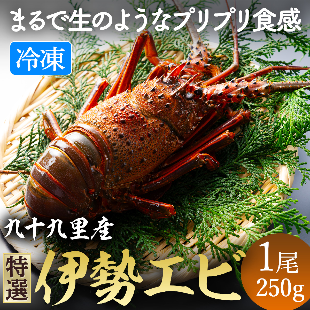 凍眠凍結伊勢海老